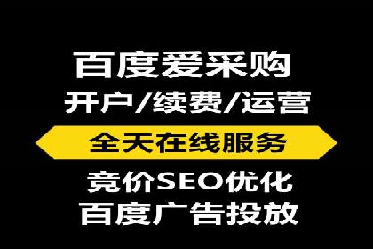 SEM搜索引擎优化策略解析与应用案例